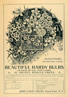  Poeticus Garden Bulbs Flowers Floral Original Advertising