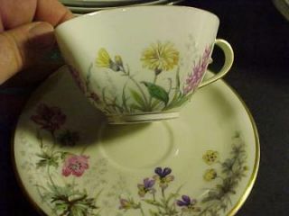 This is a lovely Franconia/Krautheim Cup & Saucer Scene M. They are