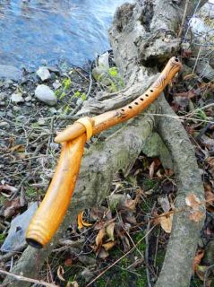 Fallen Branch Native American Style Flute B by Dale