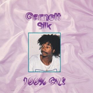 Garnett Silk 100 Silk Reggae CD VP Records