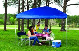  10 EZ Instant Straight Wall Pop Up Outdoor Canopy Tent Shelter