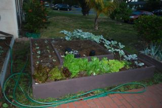 Plans for building a portable raised bed garden plus free seeds