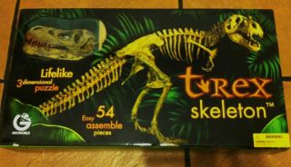 REX Skeleton 1 10 scale Geoworld Fossil Dinosaur Prehistoric