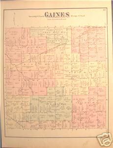 Swartz Creek Gaines Township Michigan Plat Map 1900