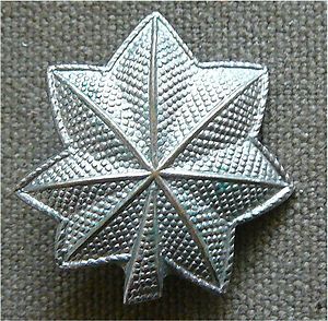 WWII US Lt Colonel Insignia Silver Oak Leaf Pin Snowflake Back Amcraft