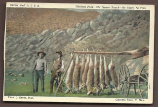Old Pigeon Ranch Glorieta Pass New Mexico Cowboy Hunting RARE Postcard