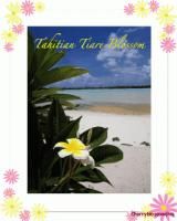  perfume of pure tiare flower extract from Tahiti. ( Similar to a