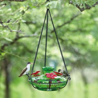 Parasol Bloom Perch Glass Hummingbird Feeder 4 Different Colors