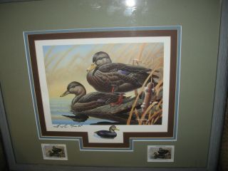   Framed Print 30 of 100 w 2 1996 BLACK DUCKS STAMPS by Gerald Putt