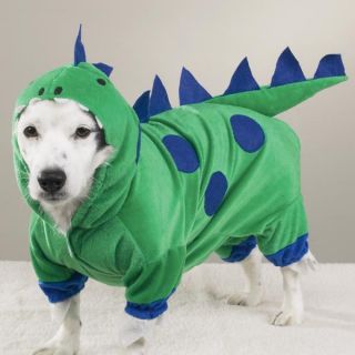  Dog Pet Halloween Costume Dinosaur Green Godzilla Dragon XS