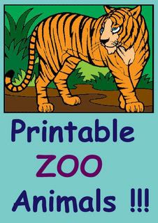 Printable Bugs Farm Zoo Animals Coloring Pages Combo