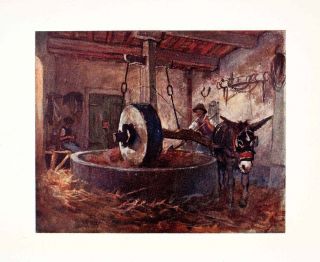   Print Olive Oil Press Grindstone Mill Tuscany Italy Goff Mule Donkey