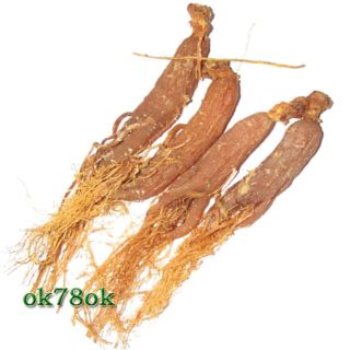 Years Panax Korean Red Ginseng Root China Red Ginseng Root 250g Sale