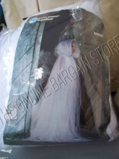 Grandin Road Martha Stewart Halloween White Ghost Costume Wedding