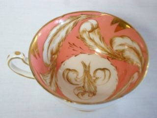 Royal Grafton Fine Bone China Cup and Saucer K8045 Pink Feathers Gold