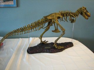 Geoworld Trex T rex Tyranosaurus skeleton fossil science kit dinosaur