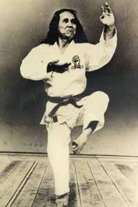  Goju Ryu Karate and the rise of the Goju Kai. It includes , in mostly