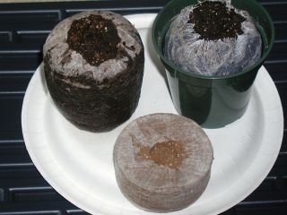   70 mm Jiffy Peat Pellets Seed Starting Greenhouse Supplies