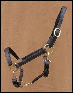 Unique halter that makes grooming your horses head much easier without