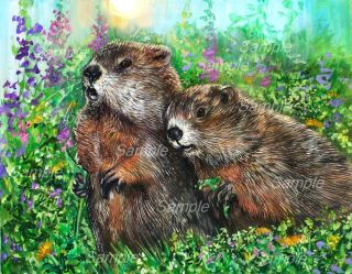 Groundhog Giclee of Painting Spring Wildlife Woodchuck Marmot Kasheta