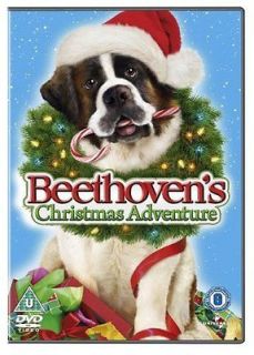  Christmas Adventure DVD John Cleese, Tom Arnold, Kyle Massey