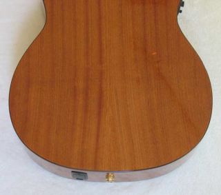 Cathedral Guitar 10 String Classical Harp Guitar New