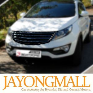Carbon Luxury Tunning Grill Grills for Sportage R 2010