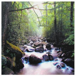  Furniture River of Life Canvas Wall Art   19.75 x 19.75