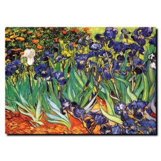  Saint Remy by Vincent Van Gogh, Canvas Art   14 x 19   M229 C1419GG