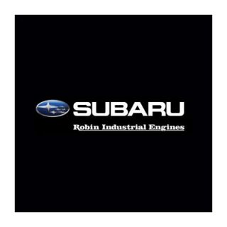 Robin Subaru 125V Adapter   9RGV0013