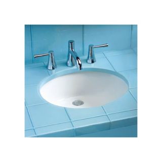 ADA Compliant Undermount Sink with SanaGloss Glazing