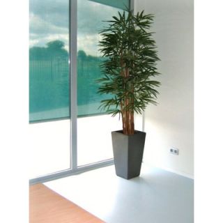 Flora Novara 78 Artificial Rhapis Palm Tree