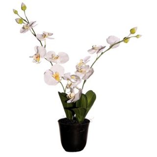 Vickerman Floral 24 Artificial Potted Cymbidium Orchids in White and