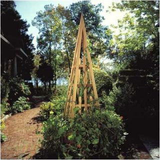 Rustic Cedar Obelisk