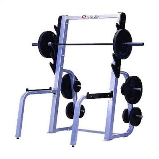  High Impact Commercial Squat Rack with Plate Storage   QWT 106