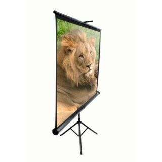  / Portable Pull Up Projector Screen   119 Diagonal in Black Case