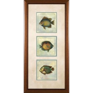 Phoenix Galleries 3 Tropical Fish 2 Framed Print