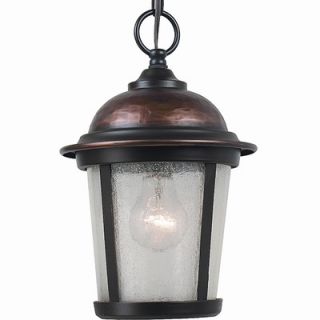 Royce Lighting Outdoor Convertible Lantern in Heirloom Copper