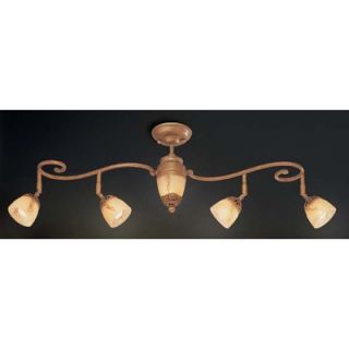 Astoria Five Light Track Light in Antique Gold   16260 016