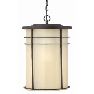 Hinkley Lighting Ledgewood Outdoor Hanging Lantern in Vintage Black