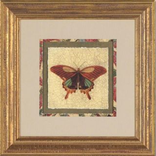 Phoenix Galleries Crackled Butterfly IV Framed Print