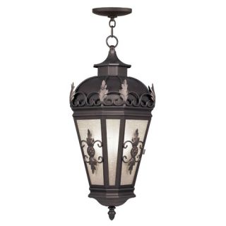 Berkshire Outdoor Hanging Lantern in Bronze