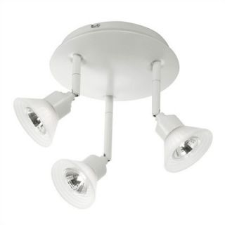WAC Low Voltage Multipoint Canopy Semi Flush Mount   PAN 866 