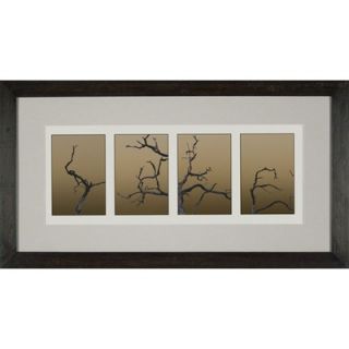 Phoenix Galleries Shadow Trees 2 Framed Print