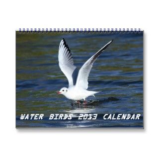 2013 calendar consisting of special photos of water birds including