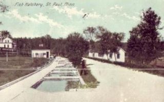  used 1914 postcard titled fish hatchery st paul minn this postcard