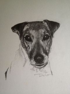 jack russell dog print pencil graphite drawing sketch time left