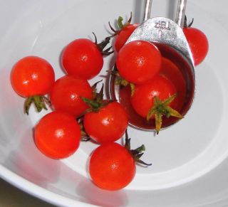 SALE ~ 25 Seeds ~ HAWAIIAN CURRANT ~ Organic Heirloom Tomato