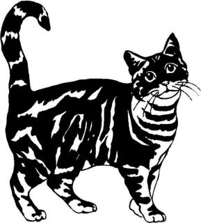 Tiger Stripe Cat Graphic Decal Sticker