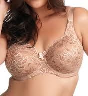BNWT $54 Elomi Jasmine 4 Part Lace Underwire Full Cup 8410